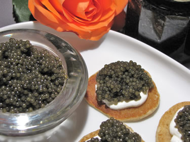 paddlefish caviar